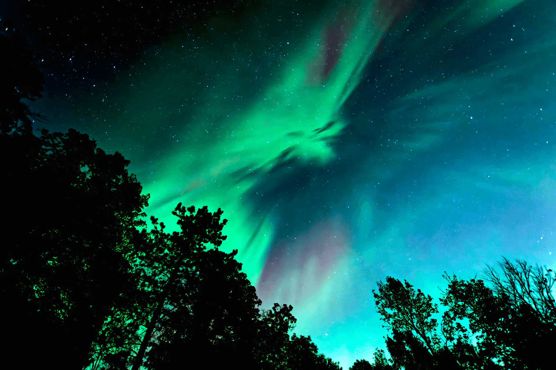 Northern Lights